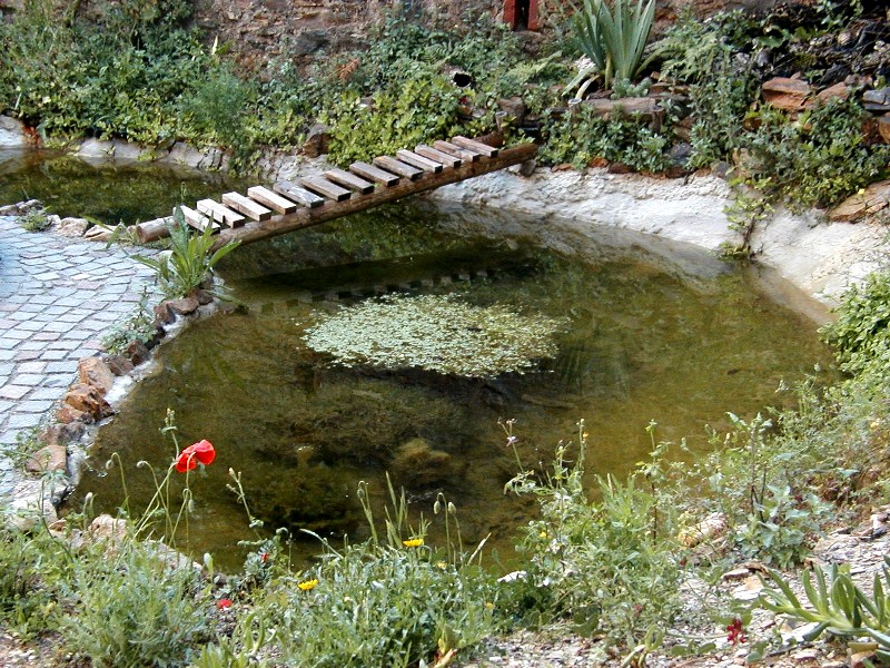 Il Laghetto del Centro di Entomologia - Piombino (LI)